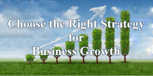 Choose the Right Strategy for Business Growth