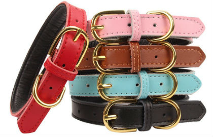Aolove Basic Classic Padded Leather Pet Collar