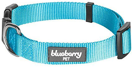 Blueberry Classic Nylon Dog Collar