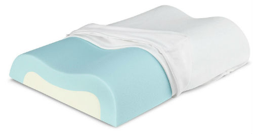 Sleep Innovations Memory Foam Pillow