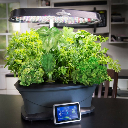 AeroGarden Bounty with Gourmet Herb Seed Pod Kit
