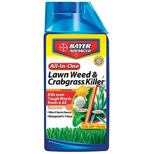 Bayer Advanced All-in-One Lawn Weed and Crabgrass Killer Concentrate