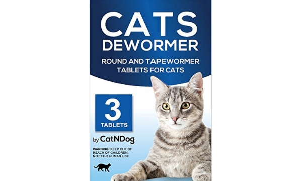 5 Best Cat Dewormers Of 2019 Health Support For Your Feline AW2K
