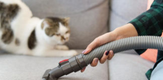How To Keep Your Home Hygenic When You Have Pets