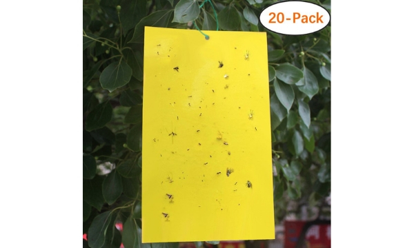 Trapro Yellow Sticky Traps